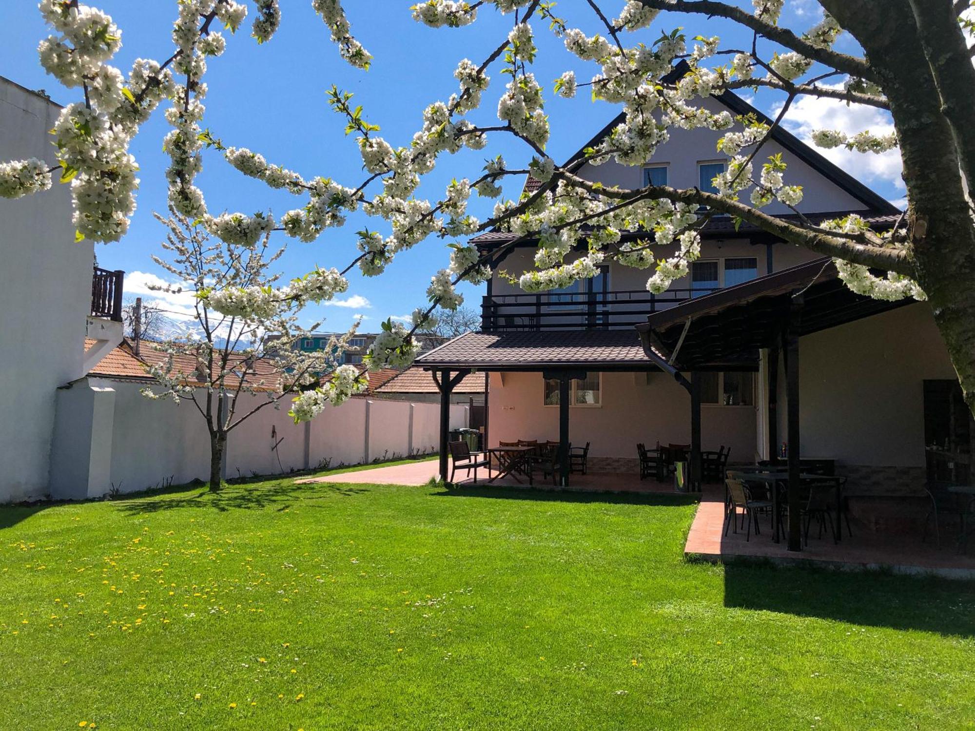 Pensiunea Aliart Zarnesti Exterior photo